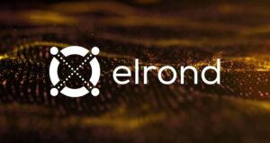Что нужно знать о криптовалюте Elrond (EGLD)?